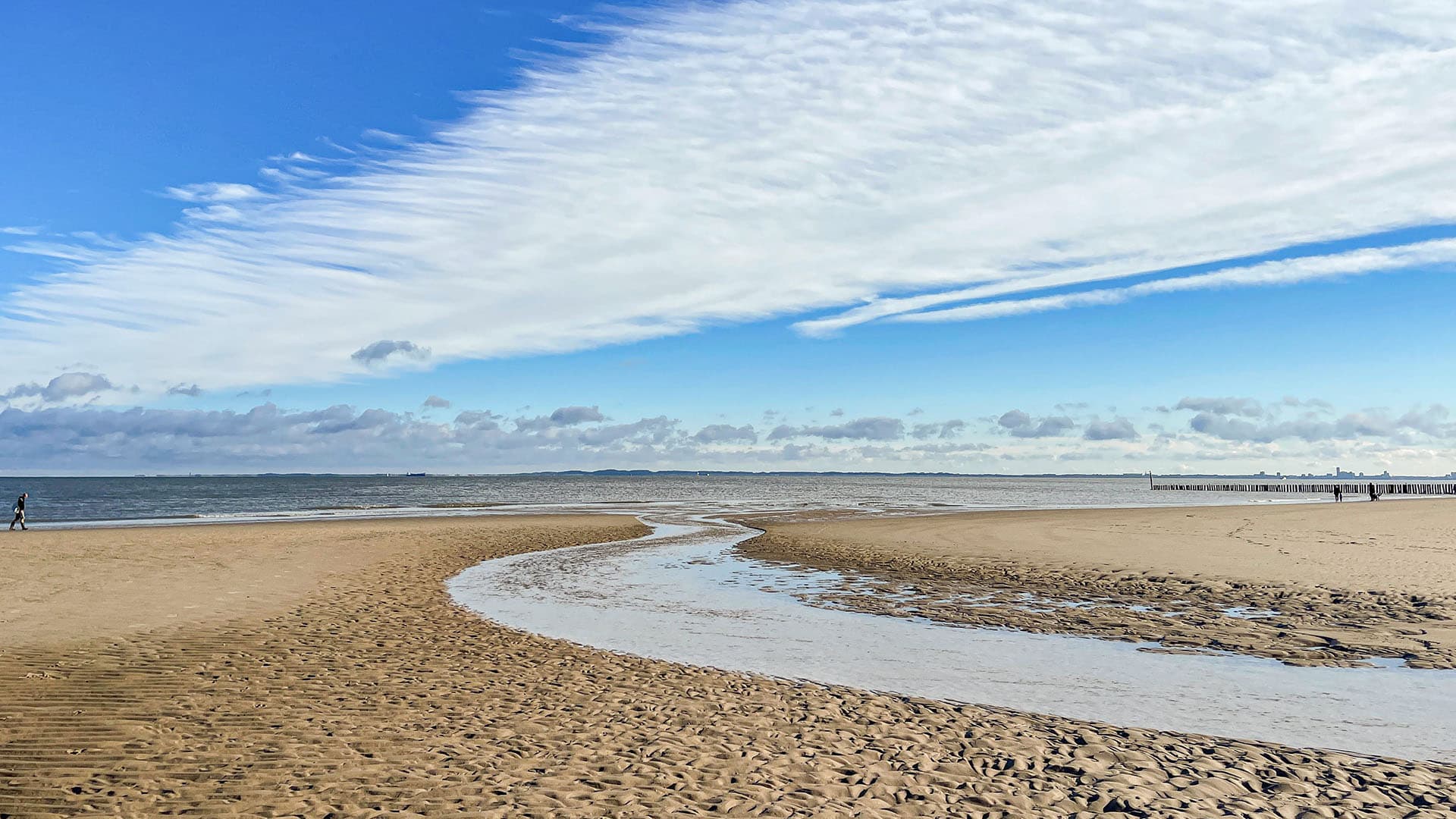 Traumasensibles Coaching